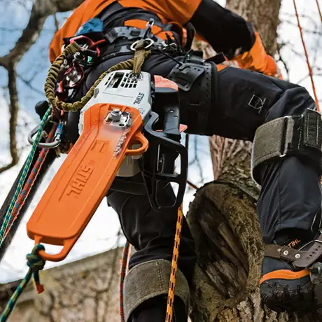 scie_top_handle_stihl_ms-201_t-c_2.webp